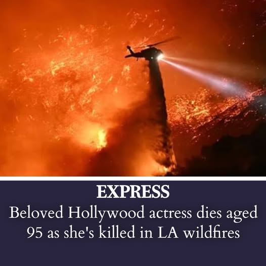 Hollywood actress dies aged 95 as she’s killed in LA wildfires