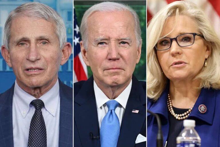 Biden Pardons For Cheney, Fauci, Others Could Backfire: Legal Expert